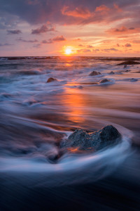 Tamron Photo Contest