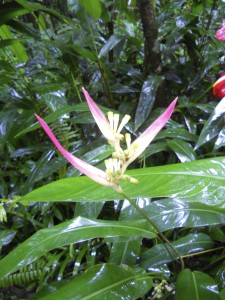 DSCN4360