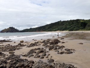 New Chum Beach
