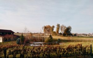 Grosgrain Vineyards