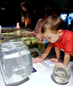 Seaside Aquarium