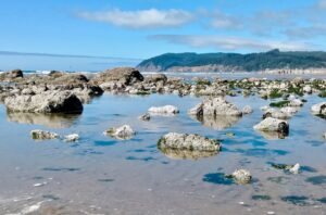 Cannon Beach, Oregon