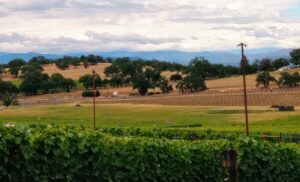 Dancin Vineyards, Jacksonville, Ore.