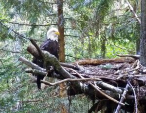 Oregon Zoo