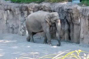 Oregon Zoo