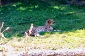 Oregon Zoo