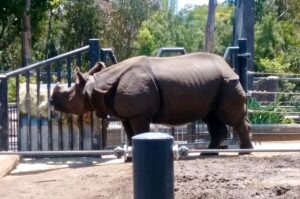 San Diego Zoo