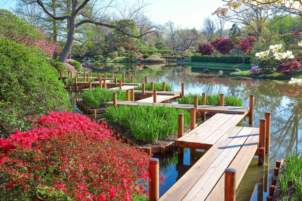 Japanese garden