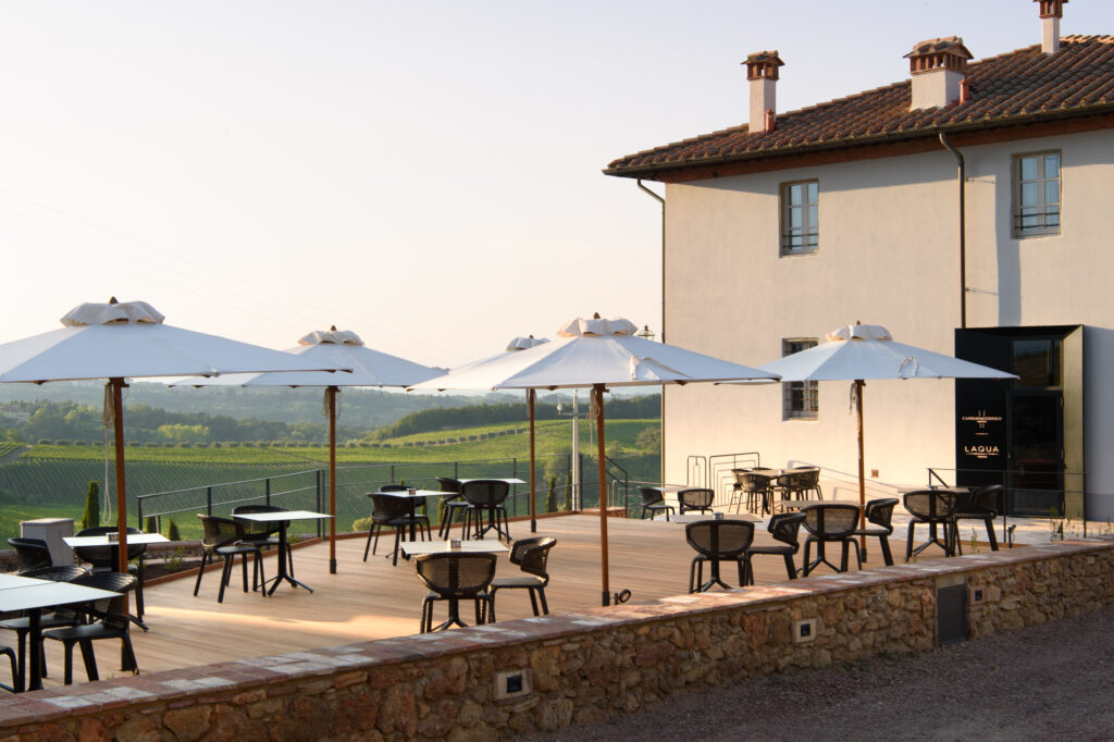 vineyard