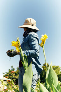 farming