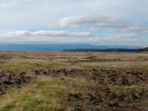 Upper Table Rock, Oregon