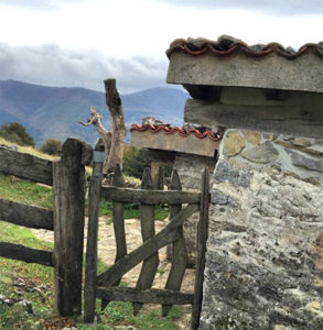 Basque countryside © FELICITY LONG