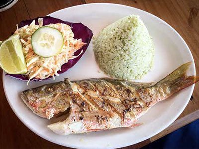 Dish of red snapper and rice with coleslaw