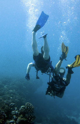 Divers exploring a reef off Bora Bora