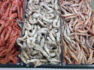 King prawn at the market