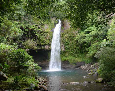 A waterfall in the rainforest of Taveuni