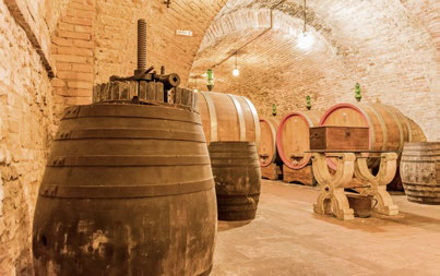 Vine Nobile di Montepulciano cellar