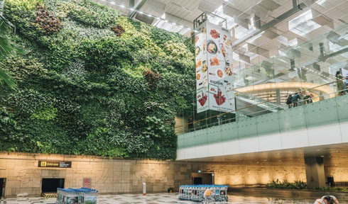 Singapore Changi Airport’s Green Wall