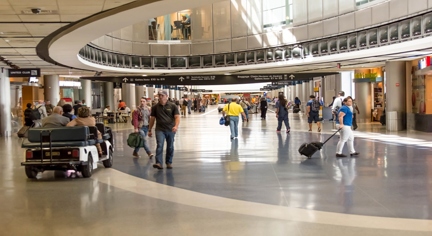 Detroit Airport Escorts