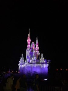 Disney Magic Kingdom Castle