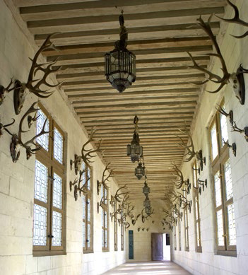 A corridor displaying hunting trophies at Chambord