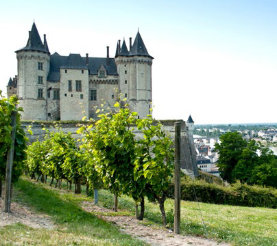 Saumur château and vineyard
