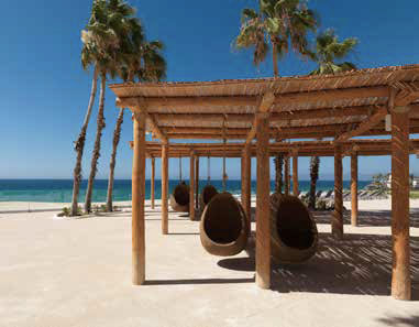 Paradisus