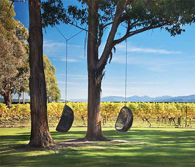 Swings at Cloudy Bay Vineyards in New Zealand © CLOUDY BAY