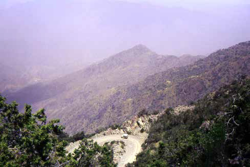 Winding road through Asir National Park
