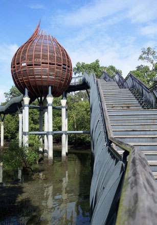 Sungei Buloh Wetland Reserve kingfisher pod