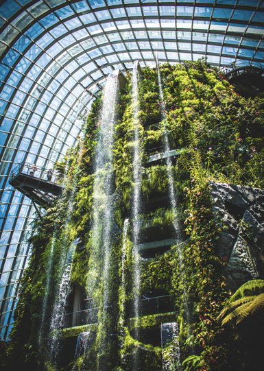 Gardens by the Bay Cloud Forest