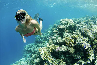 Swimming along coral