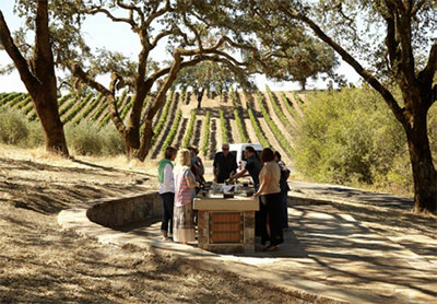 Jordan Winery outdoor wine and olive oil tasting © JORDAN WINERY