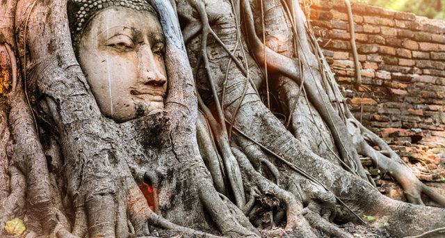 Ayutthaya Buddha Head
