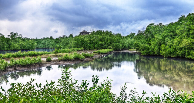 Sungei Buloh Wetland Reserve