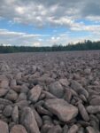 Boulder Field