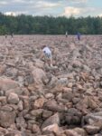 Boulder Field