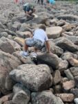 Boulder Field