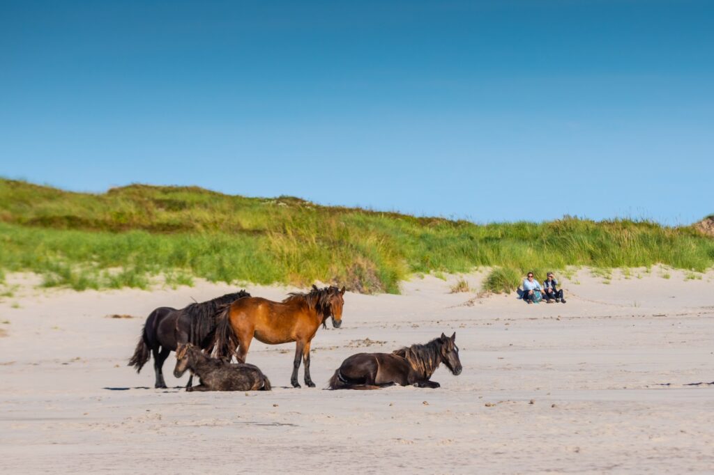 Sable Island