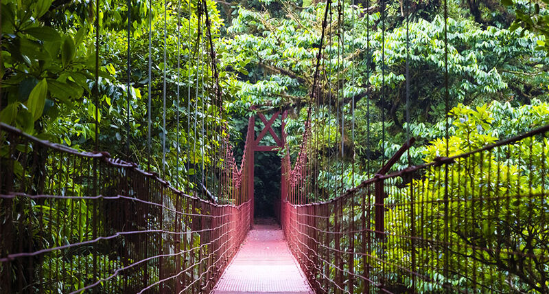 Monteverde Cloud Forest Reserve