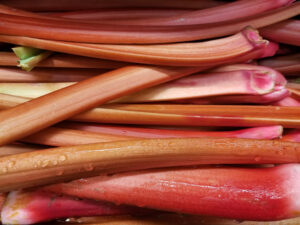 rhubarb