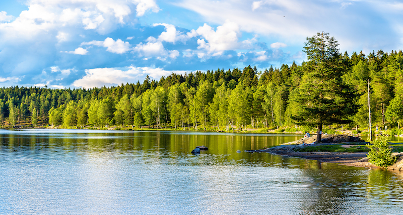 Sognsvann Lake