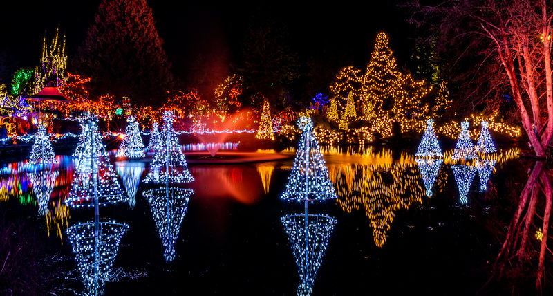 The Vancouver Festival of Lights at VanDusen Botanical Garden