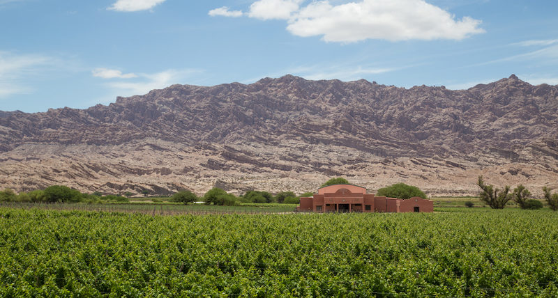 Bodega El Cese