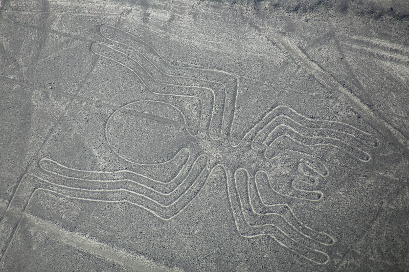 Aerial view of Nazca Lines - Spider geoglyph, Peru