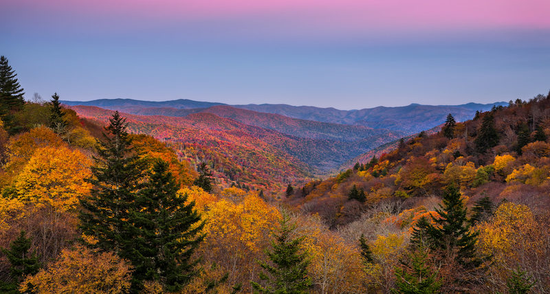 Fall colors, twilight, Smoky mountains