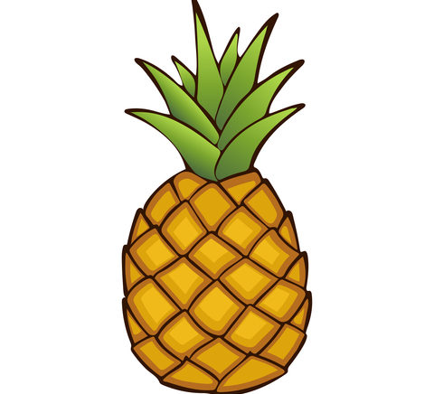 Pineapple. Painted fruit, graphic art, cartoon. Vector illustration -  Global Traveler