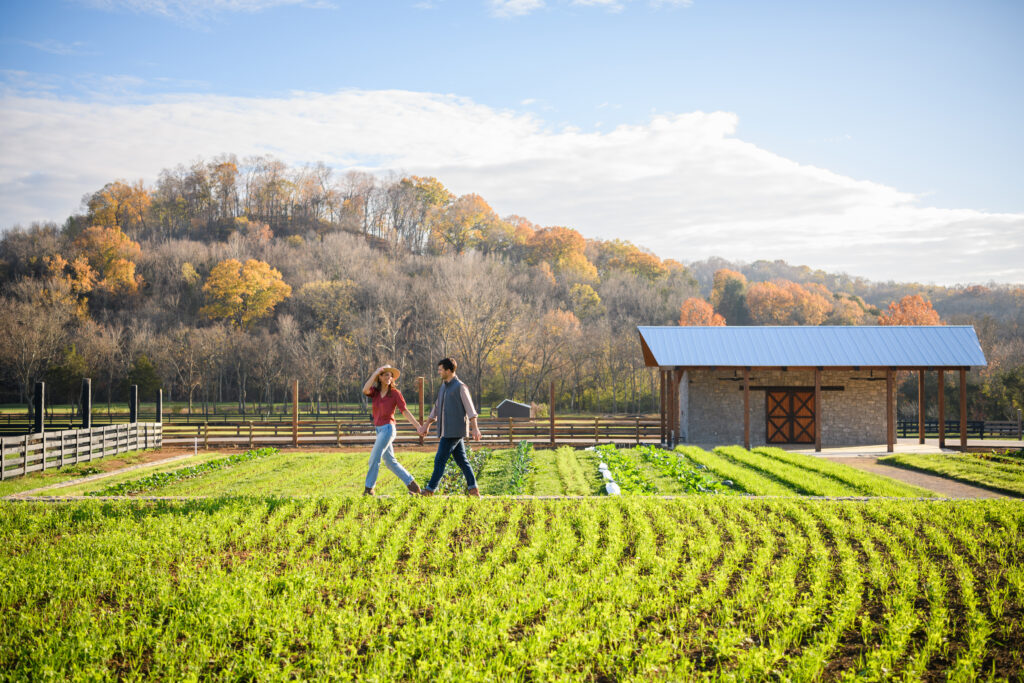 kitchen gardens