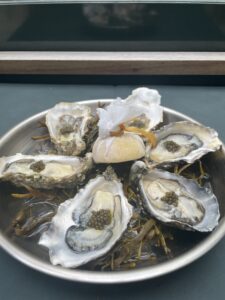 oysters