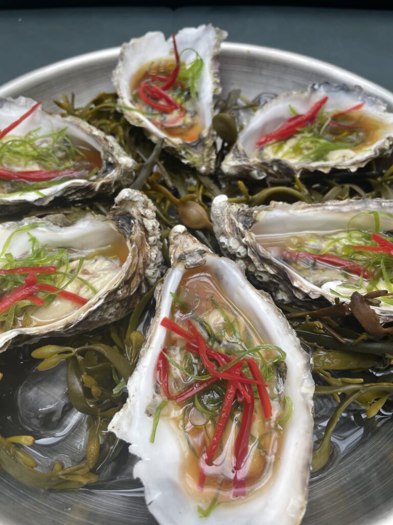 oysters